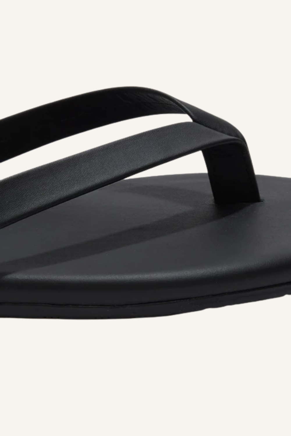 Slides Taro