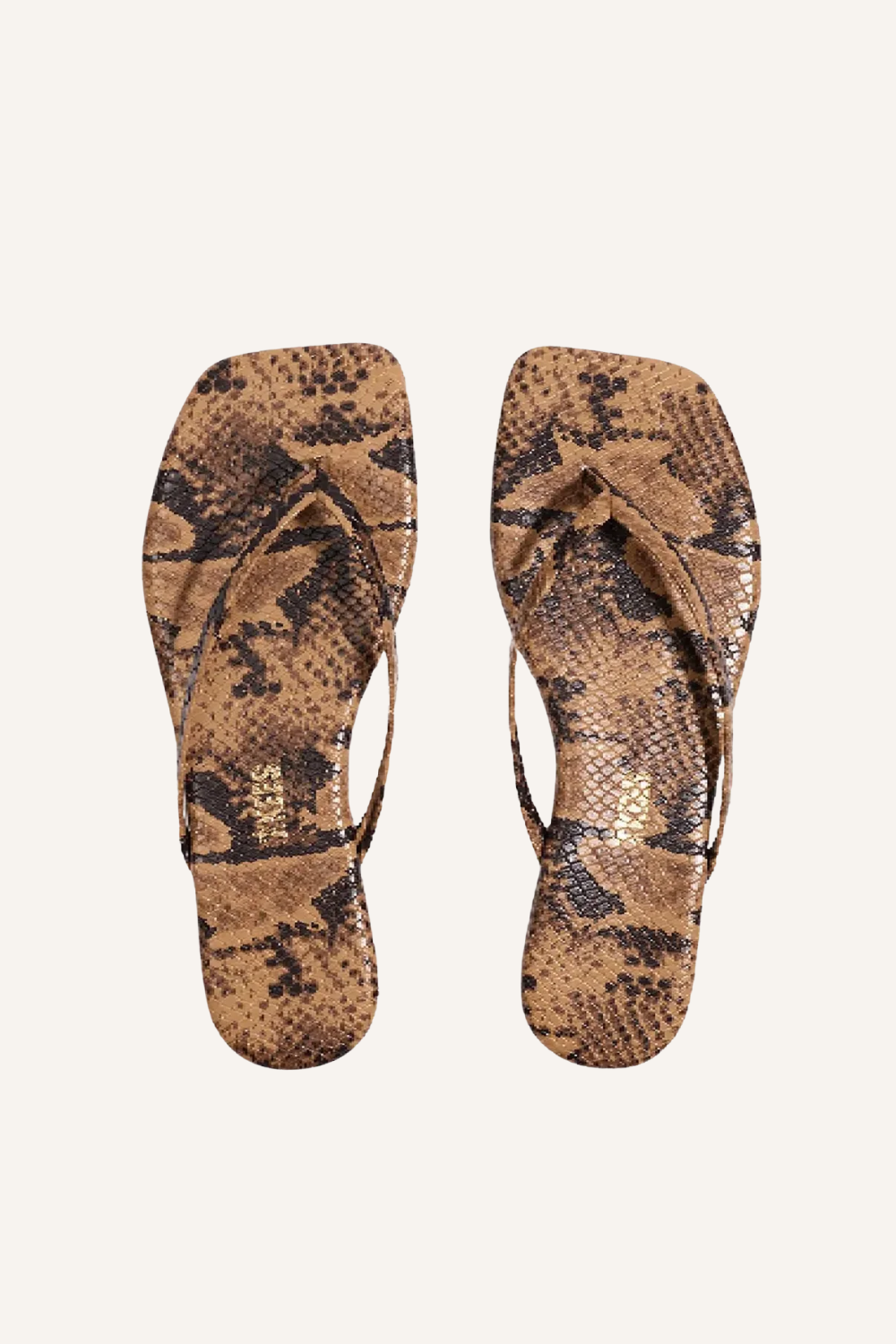 Slides Exotics