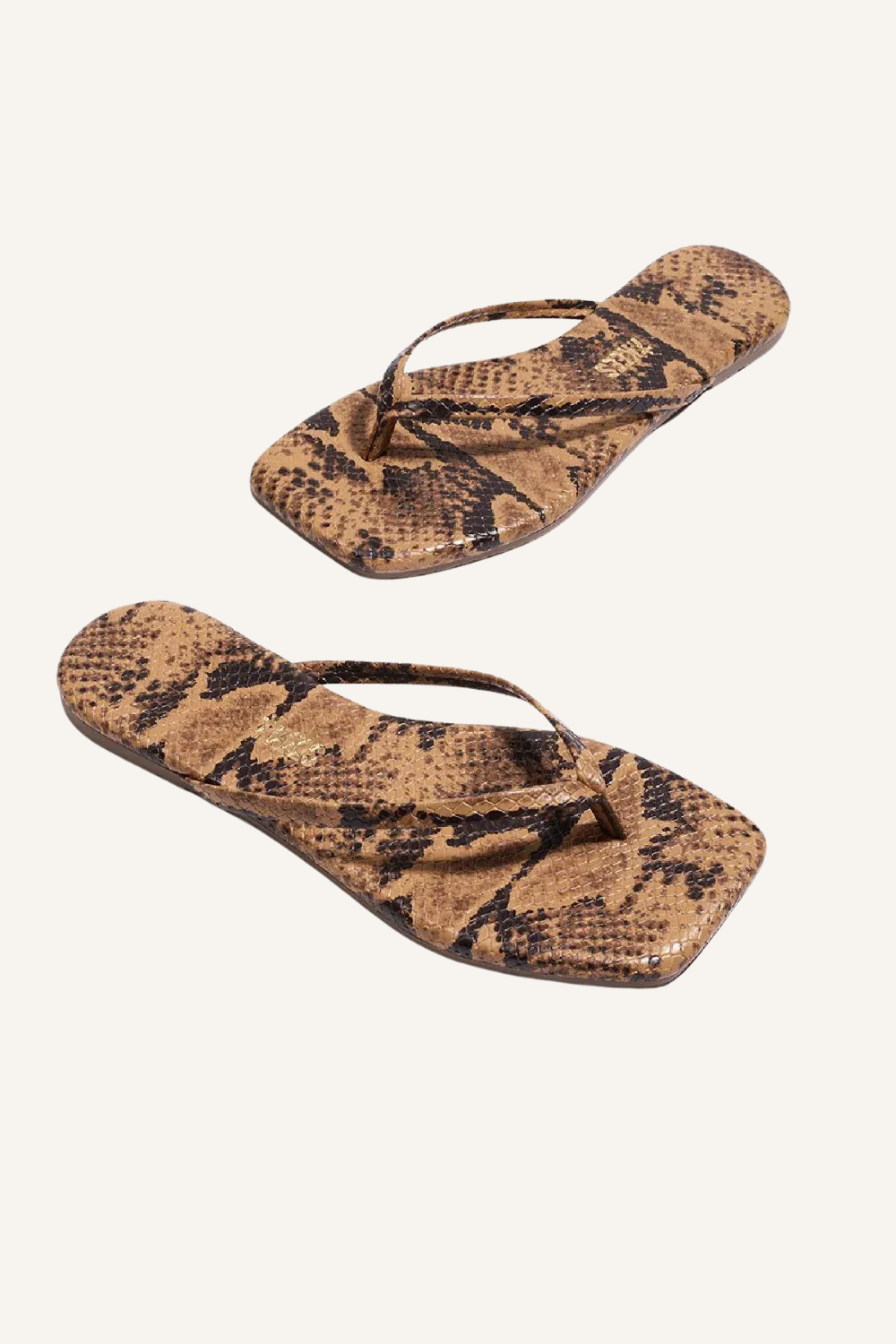 Slides Exotics