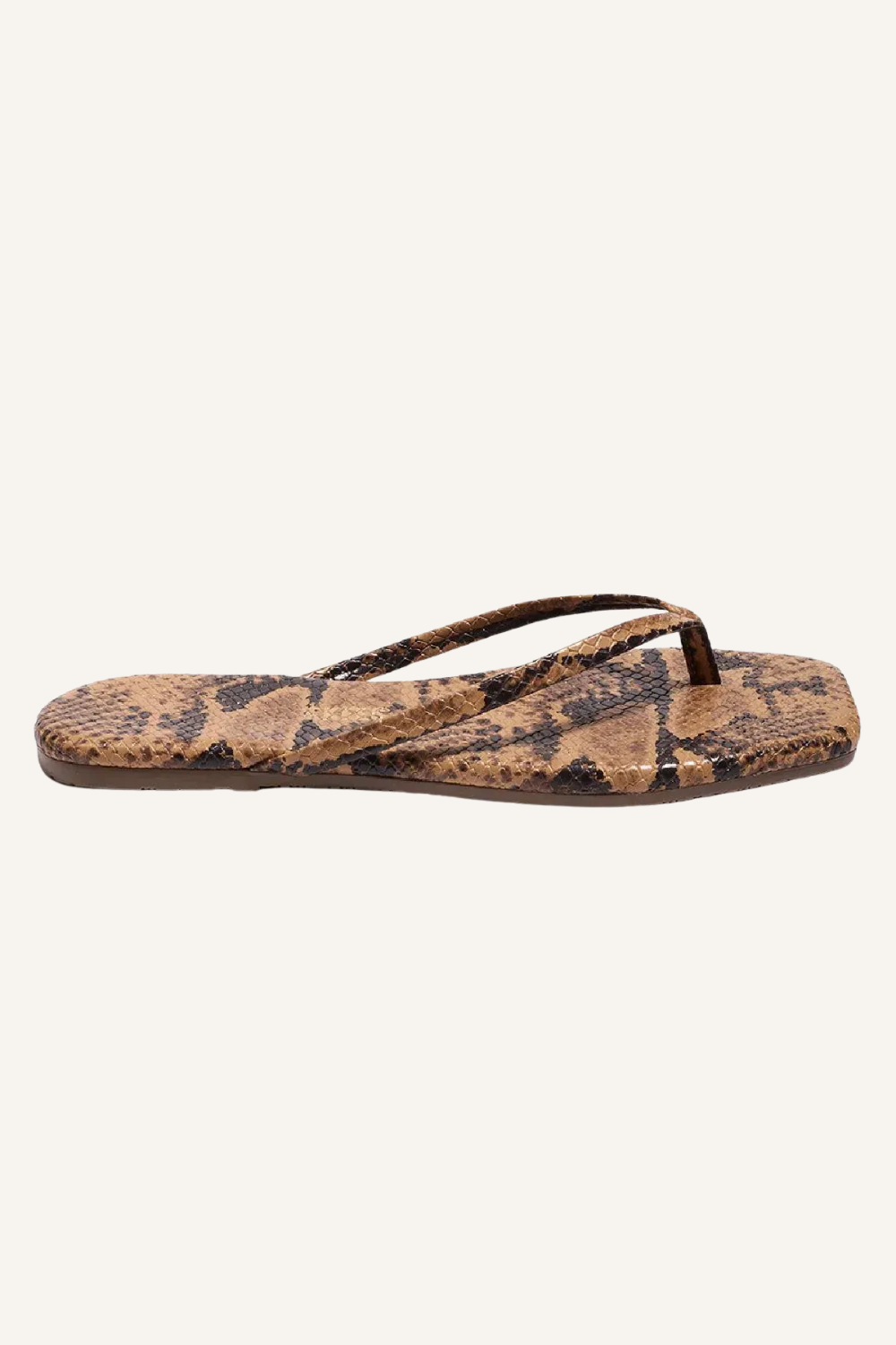 Slides Exotics