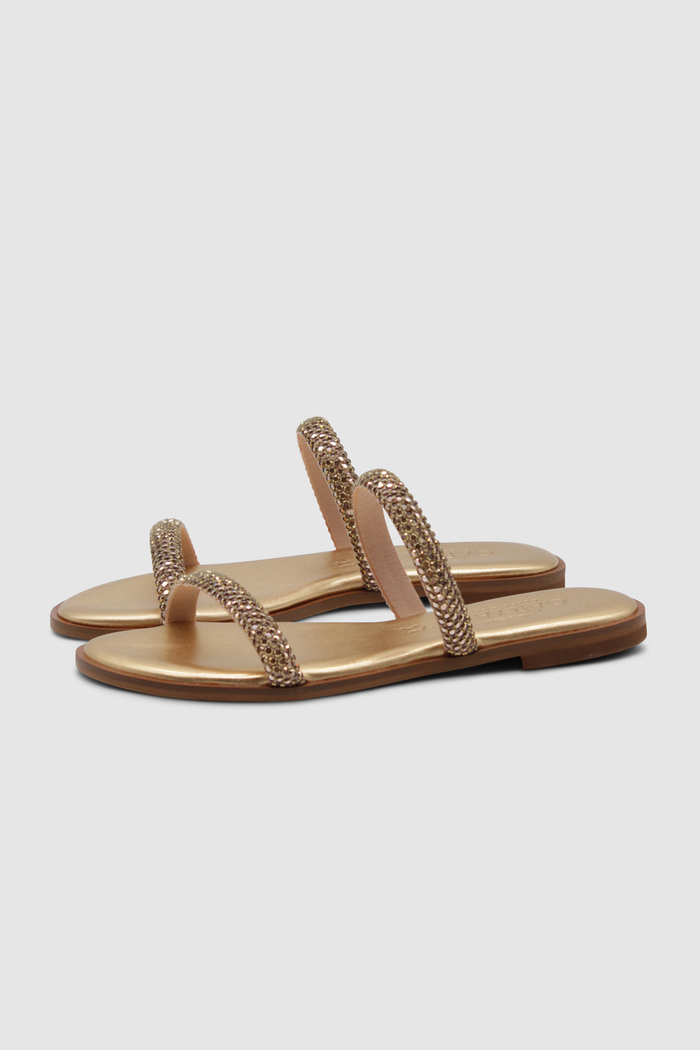 Slides