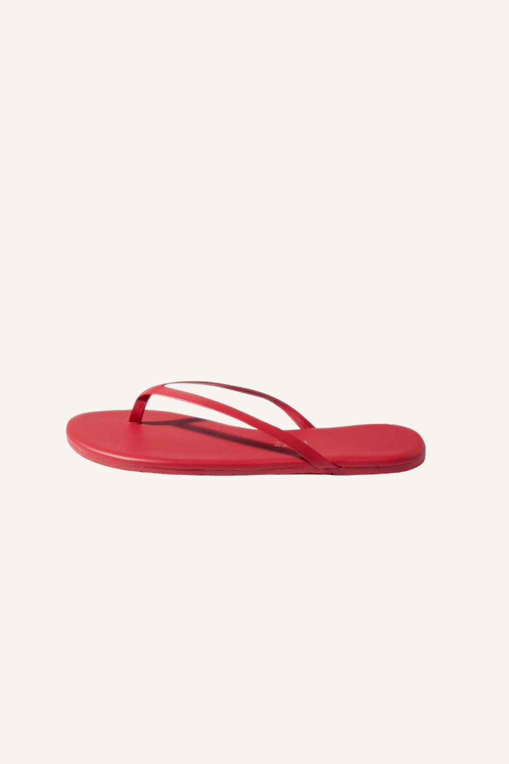 Slides Lilly