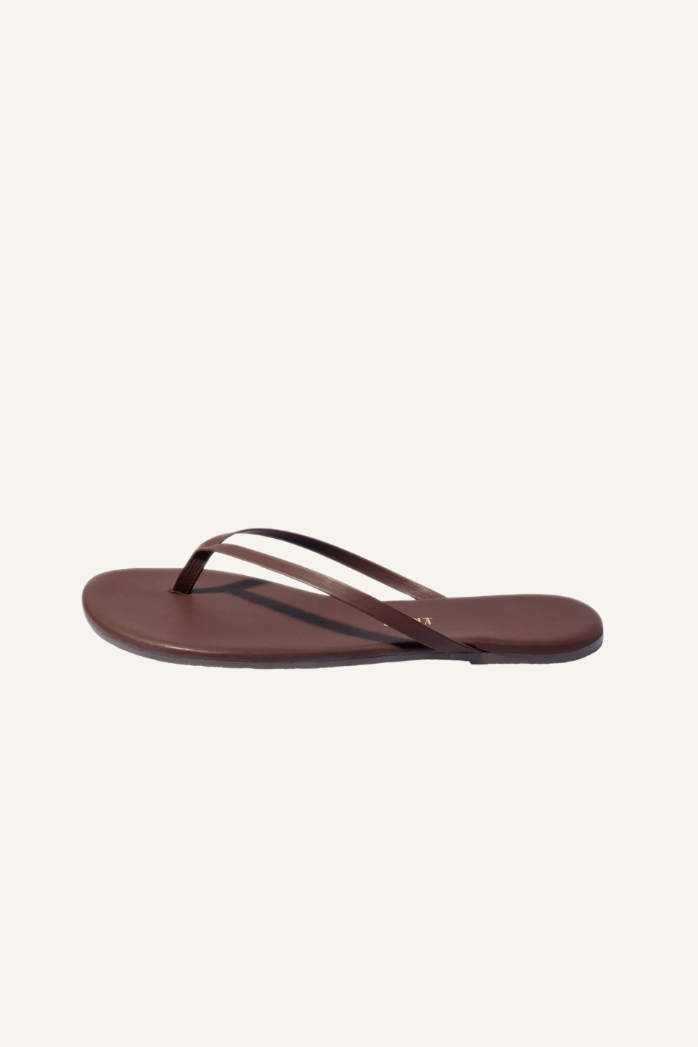 Slides Lilly