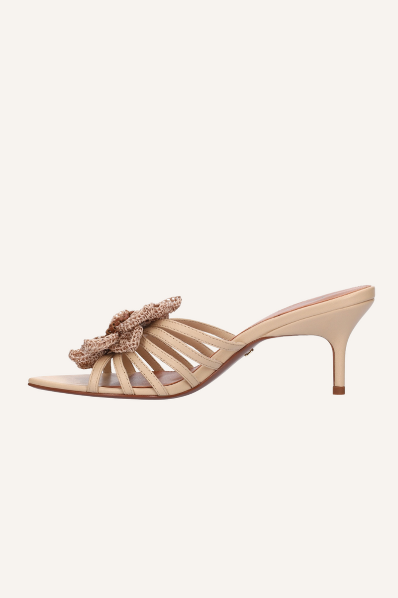 Mule Jazmin