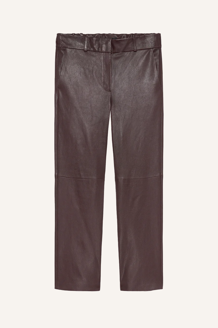 Hose Jen Stretch