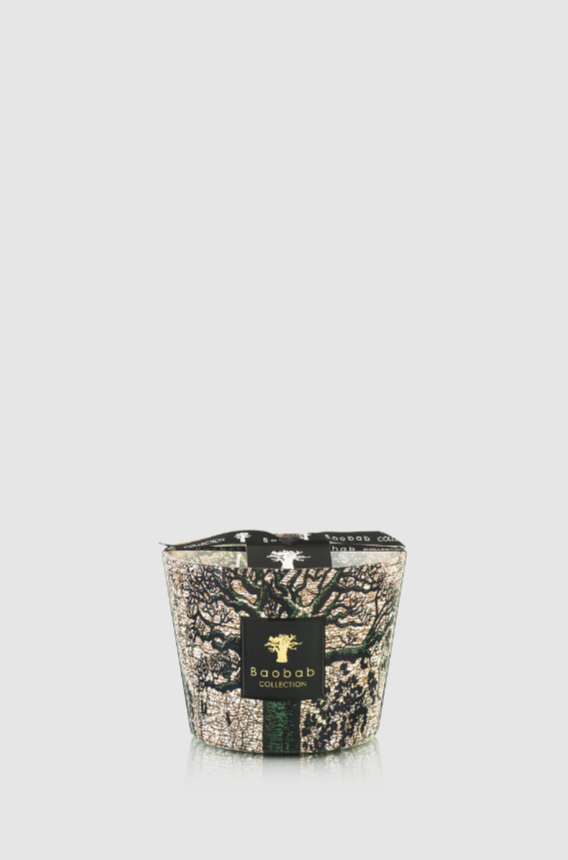 Candle Sacred Trees Kani Max 10