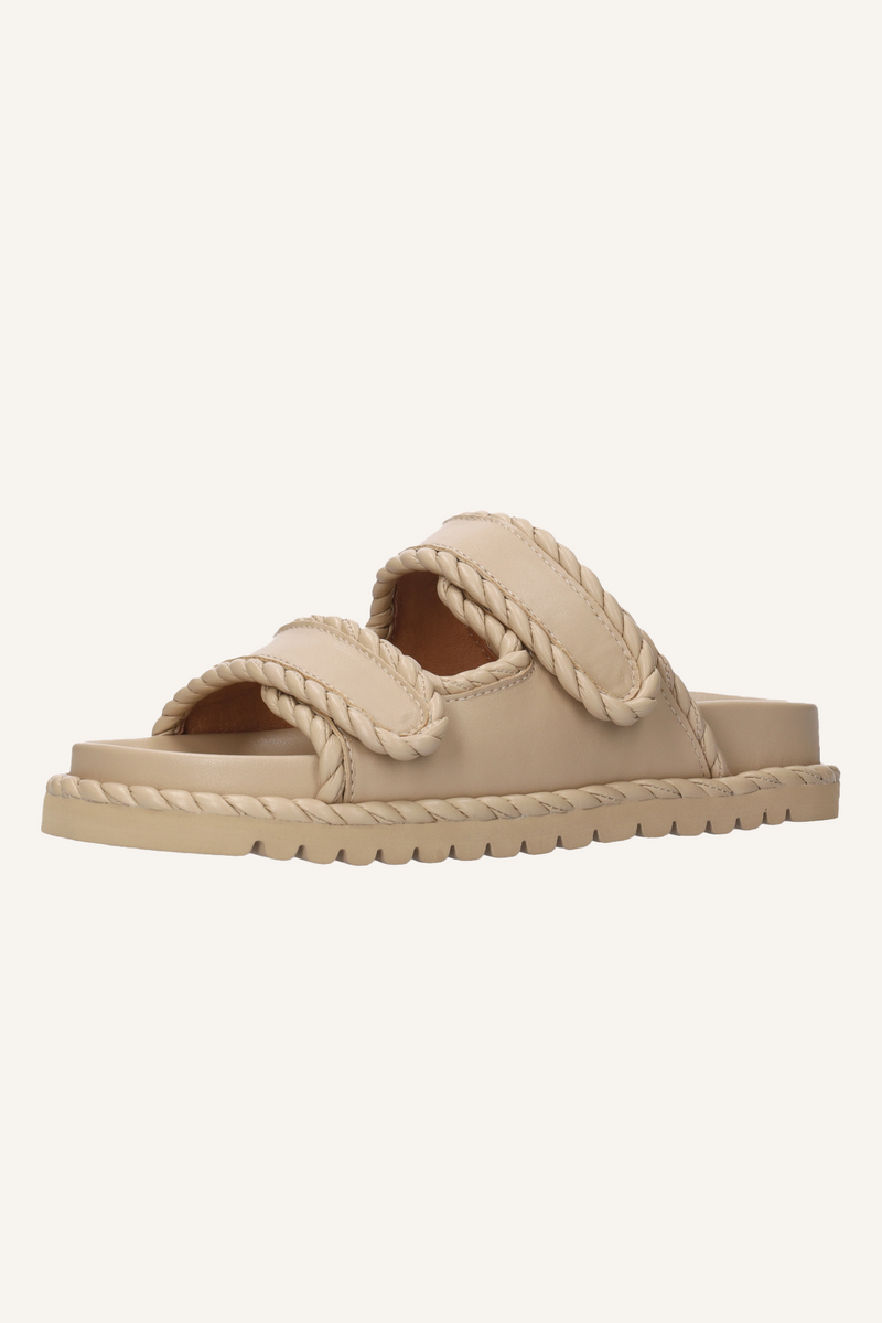 Slides Lama