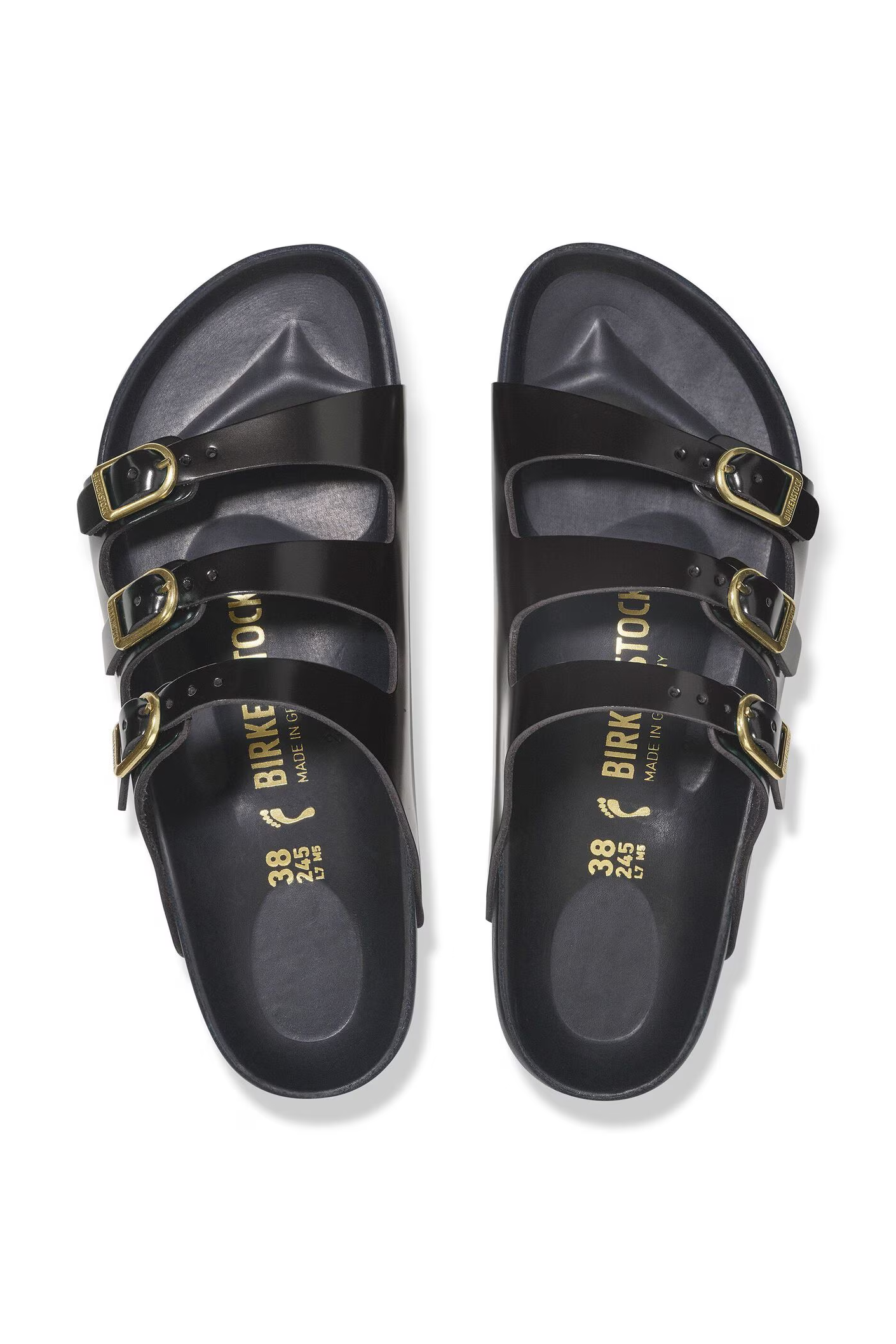 Slides Florida Flash