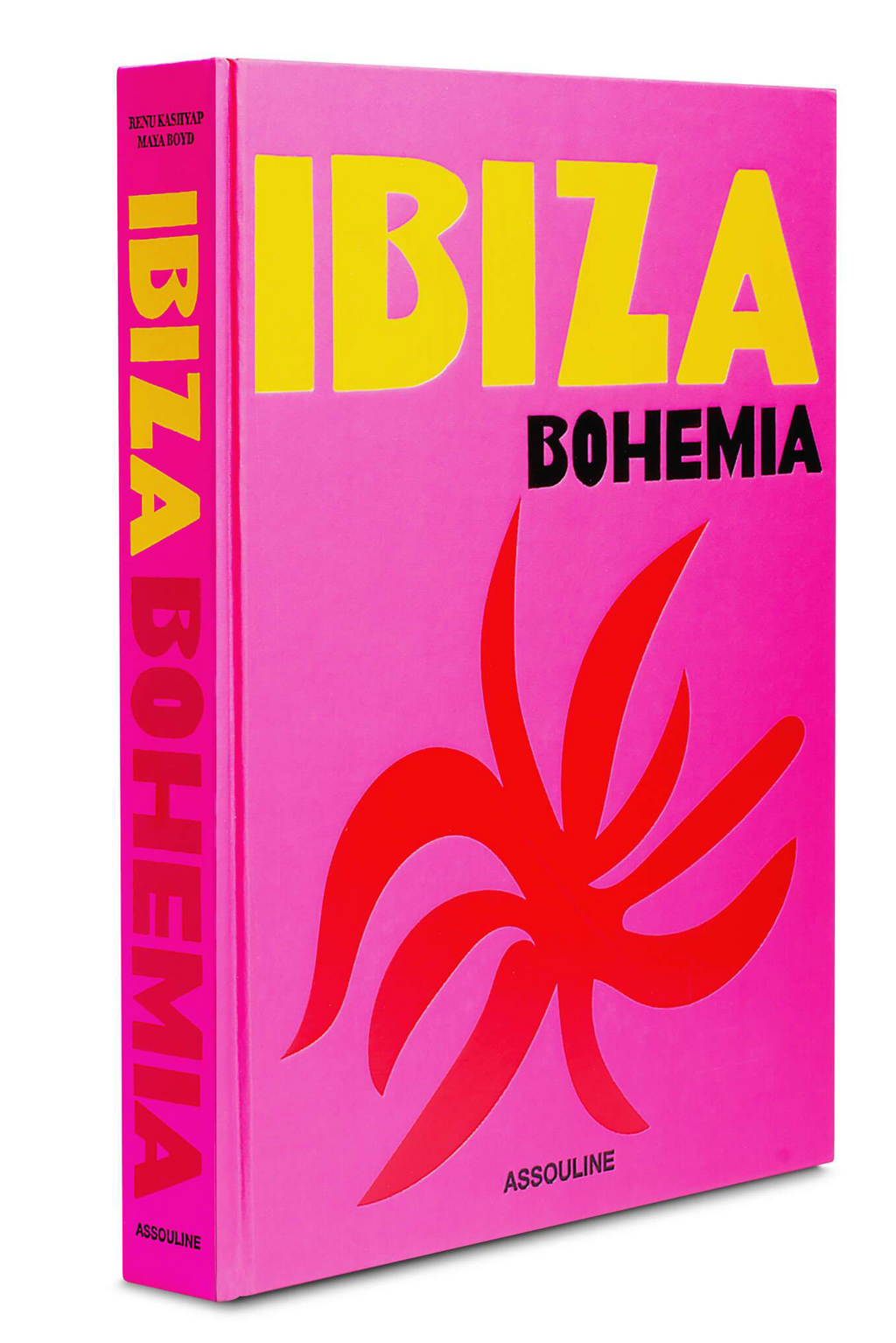 Ibiza Bohemia book