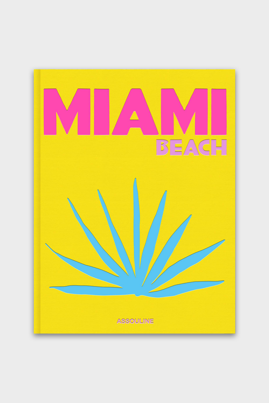Miami Beach Book