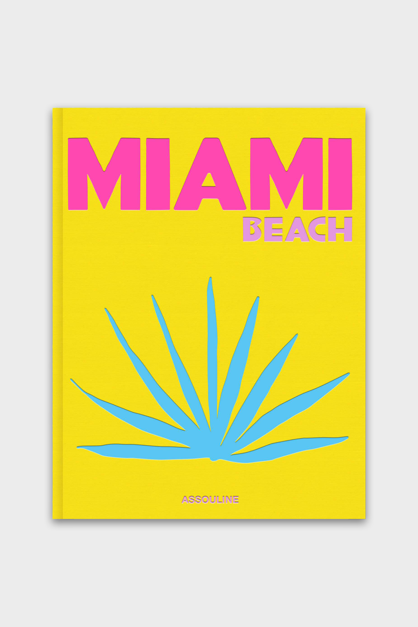 Miami Beach Book