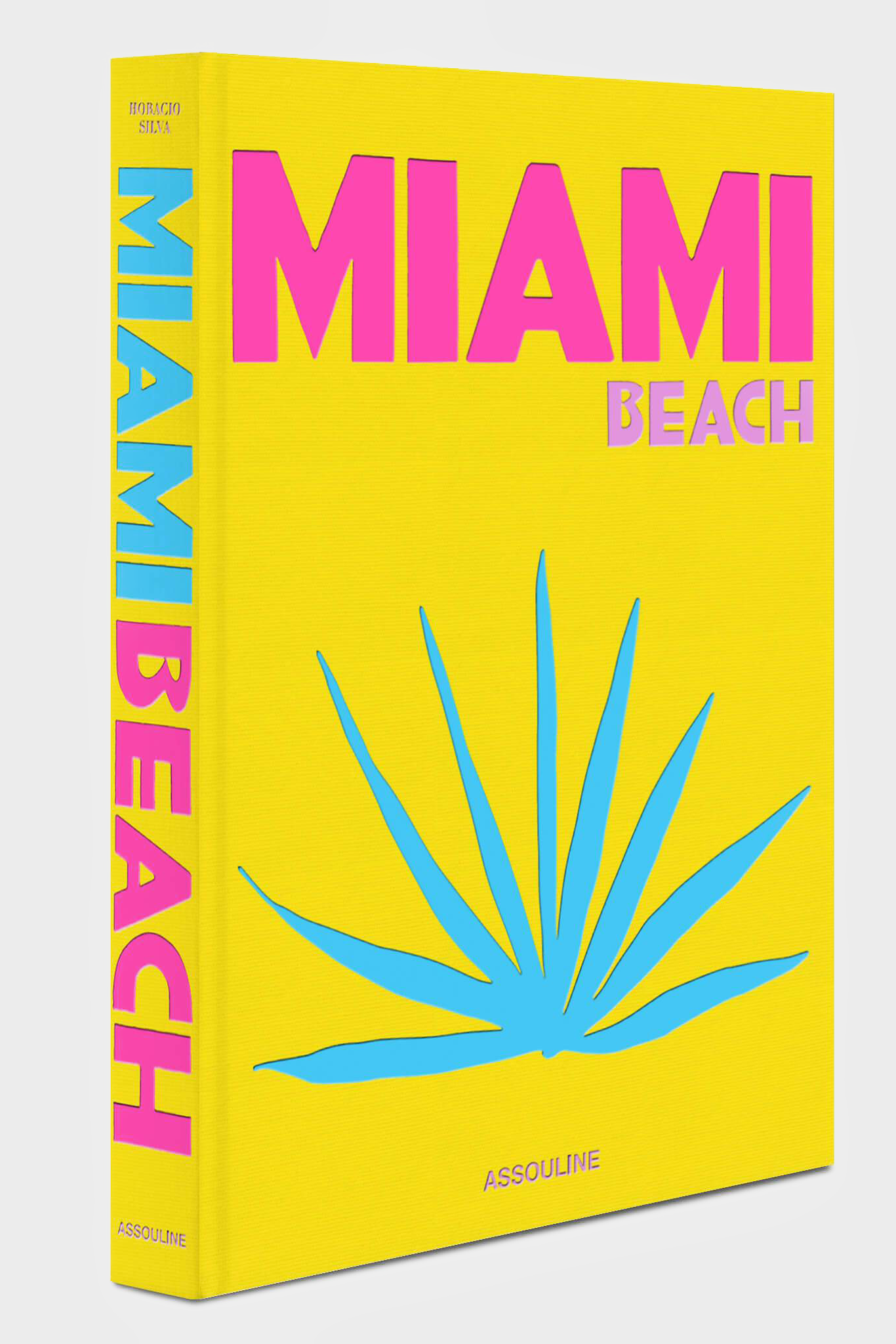 Miami Beach Book
