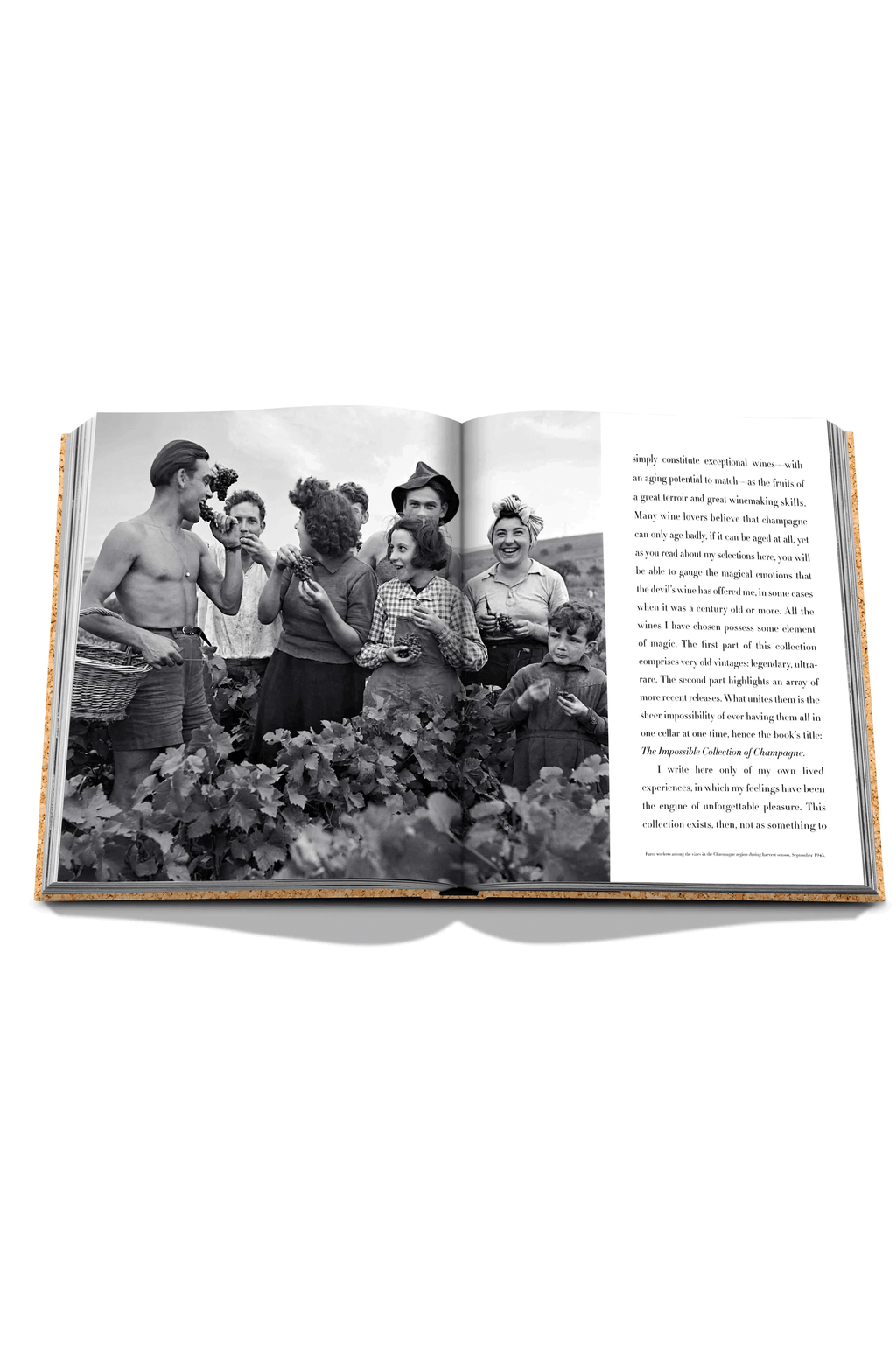 Chanel book The Impossible Collection