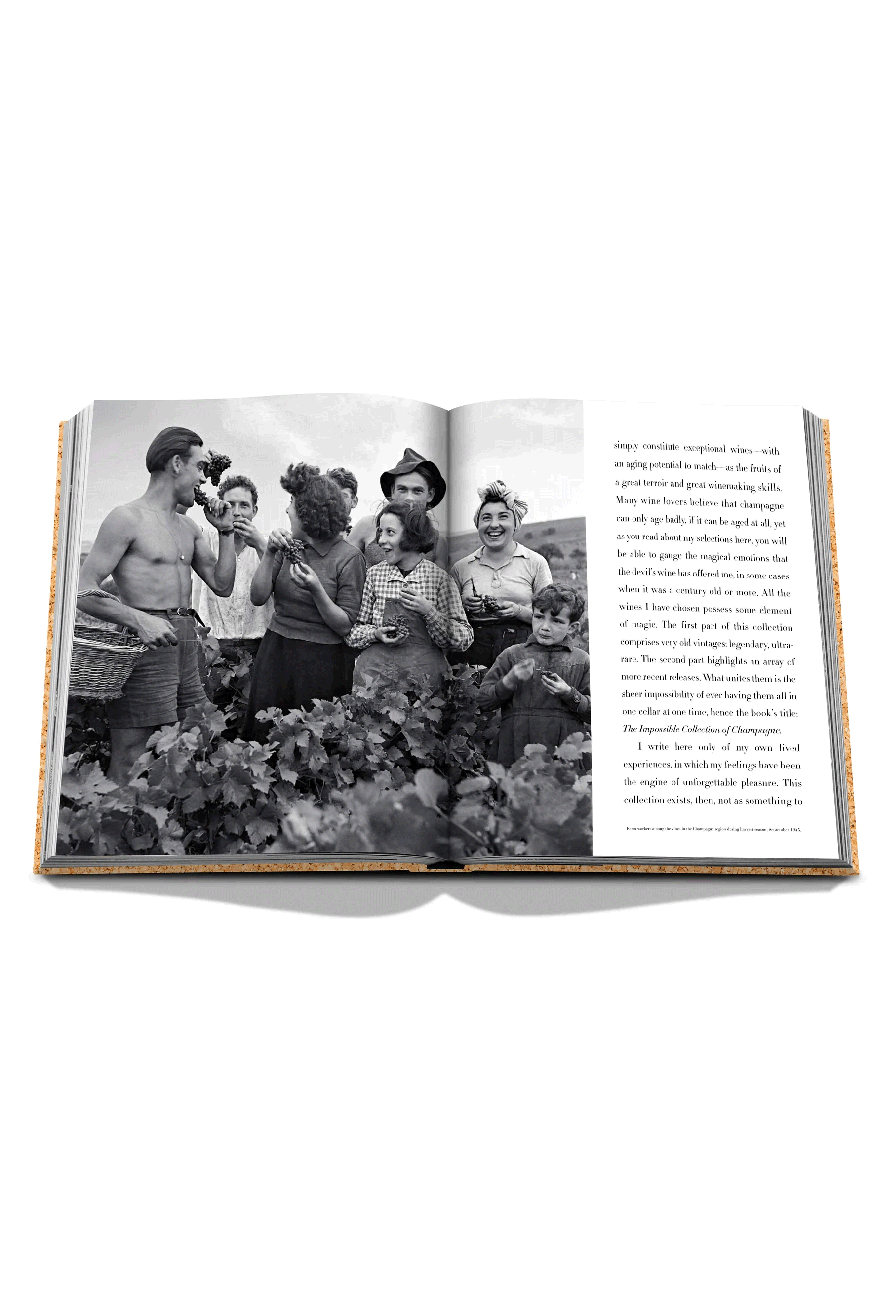 The Impossible Collection of Champagne Book