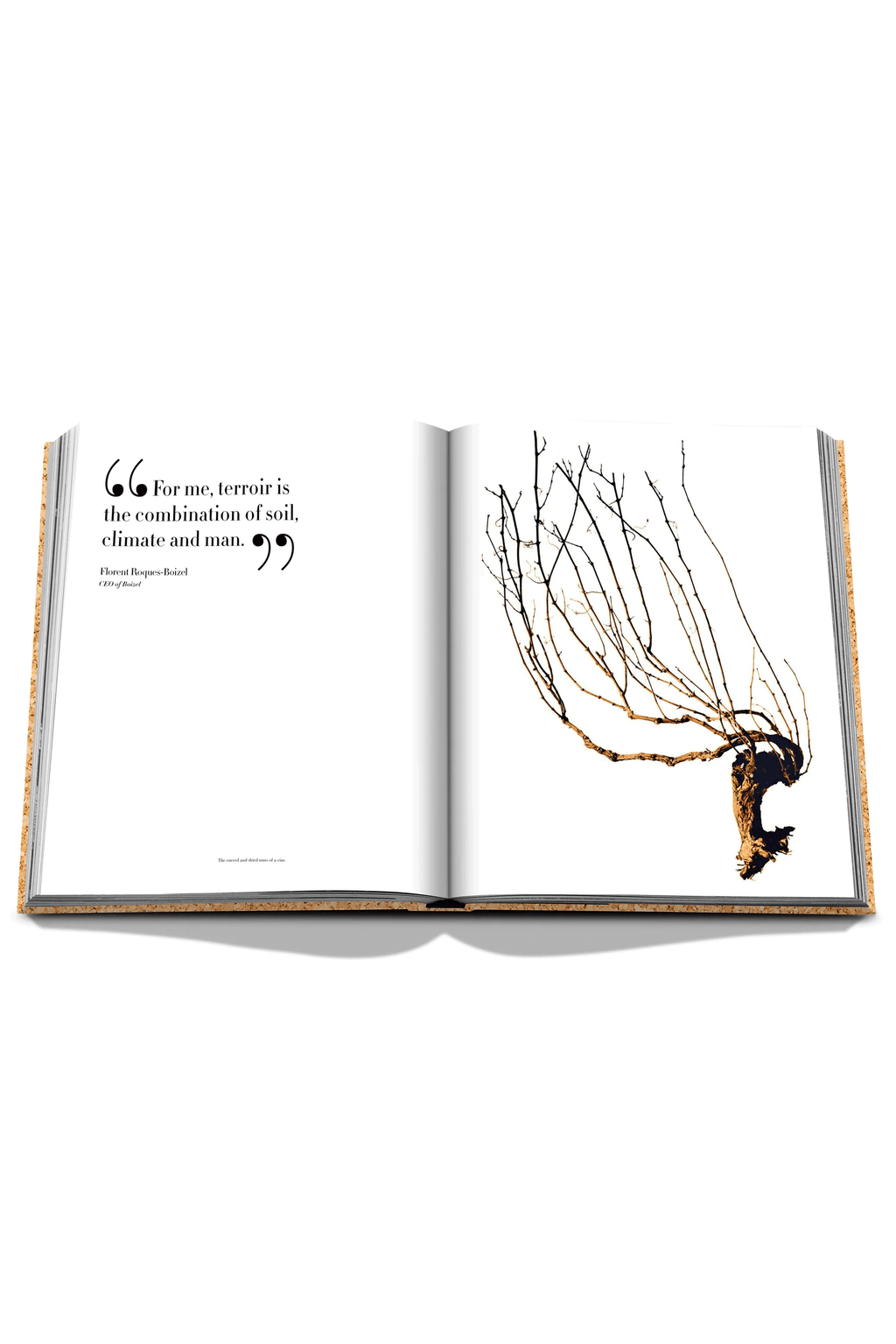 Chanel book The Impossible Collection