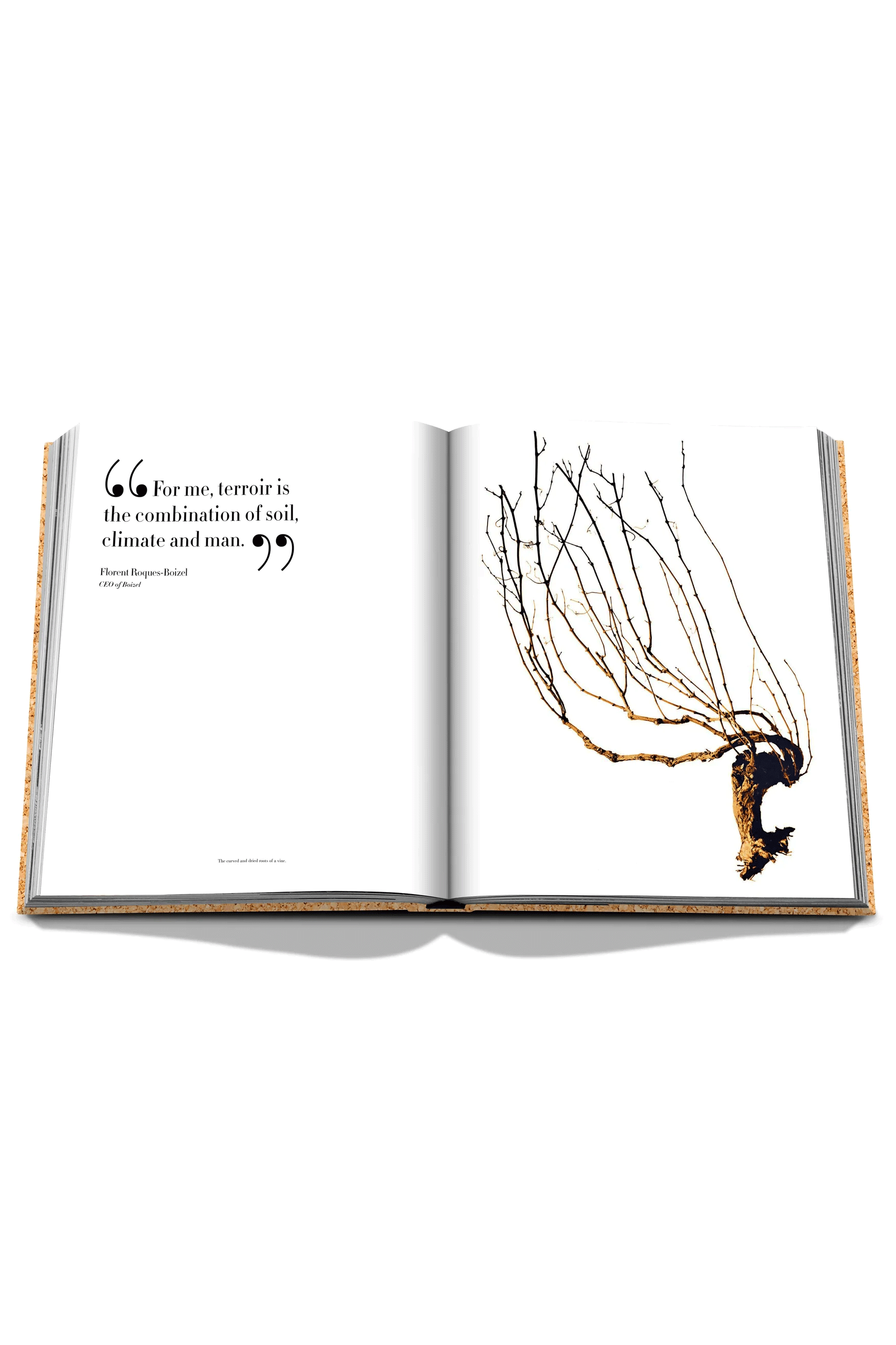 The Impossible Collection of Champagne Book