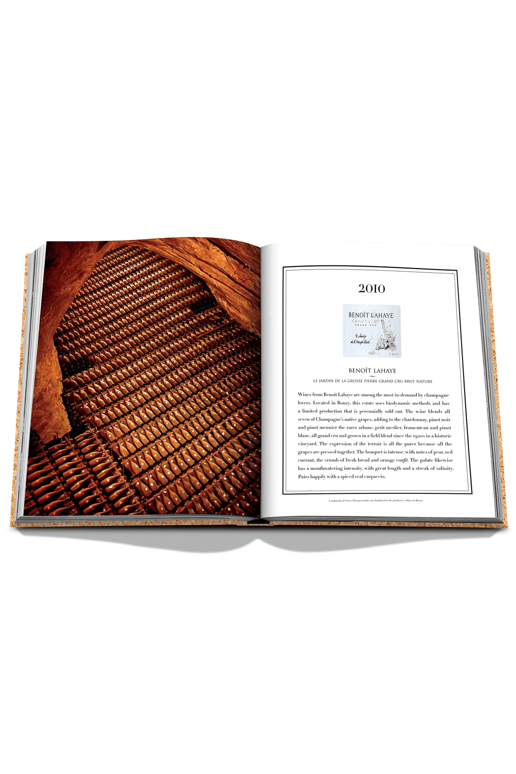 Chanel book The Impossible Collection